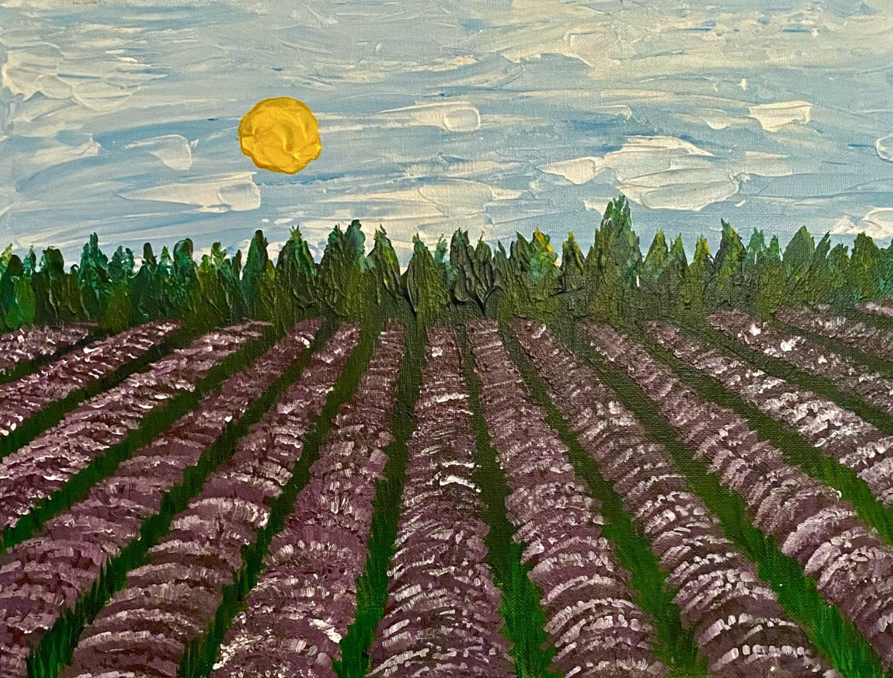 Lavender Field - Canvas Prints