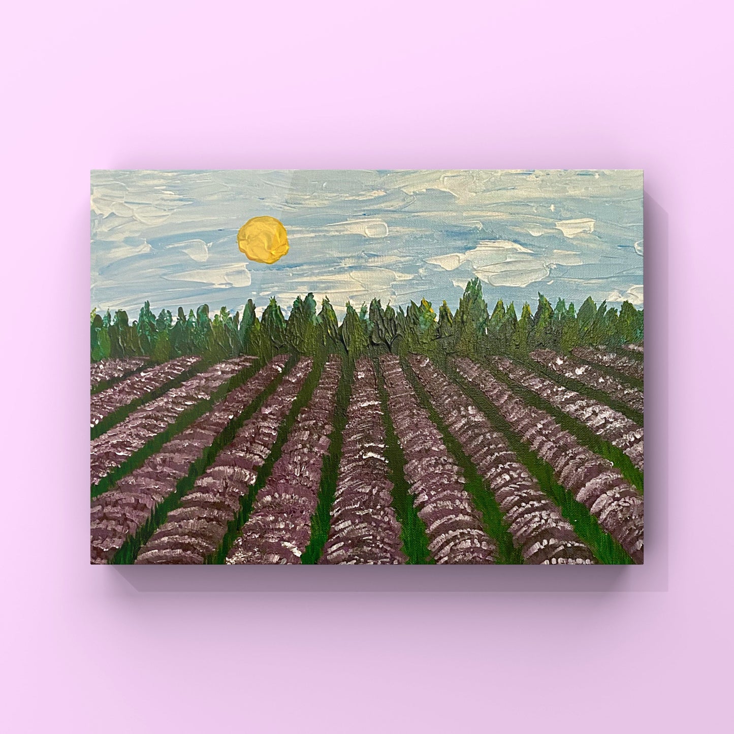 Lavender Field - Canvas Prints