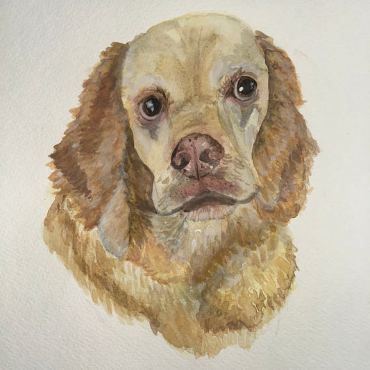 Custom Watercolor Pet Portraits