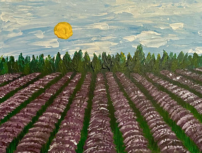 Lavender Field - Canvas Prints
