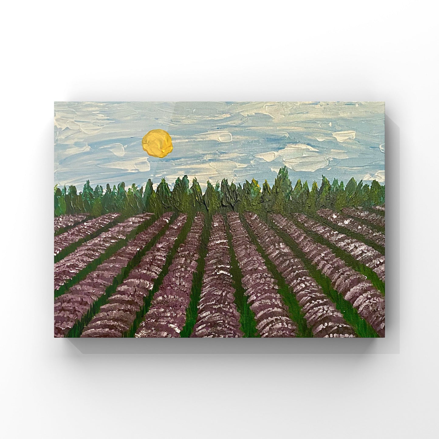 Lavender Field - Canvas Prints