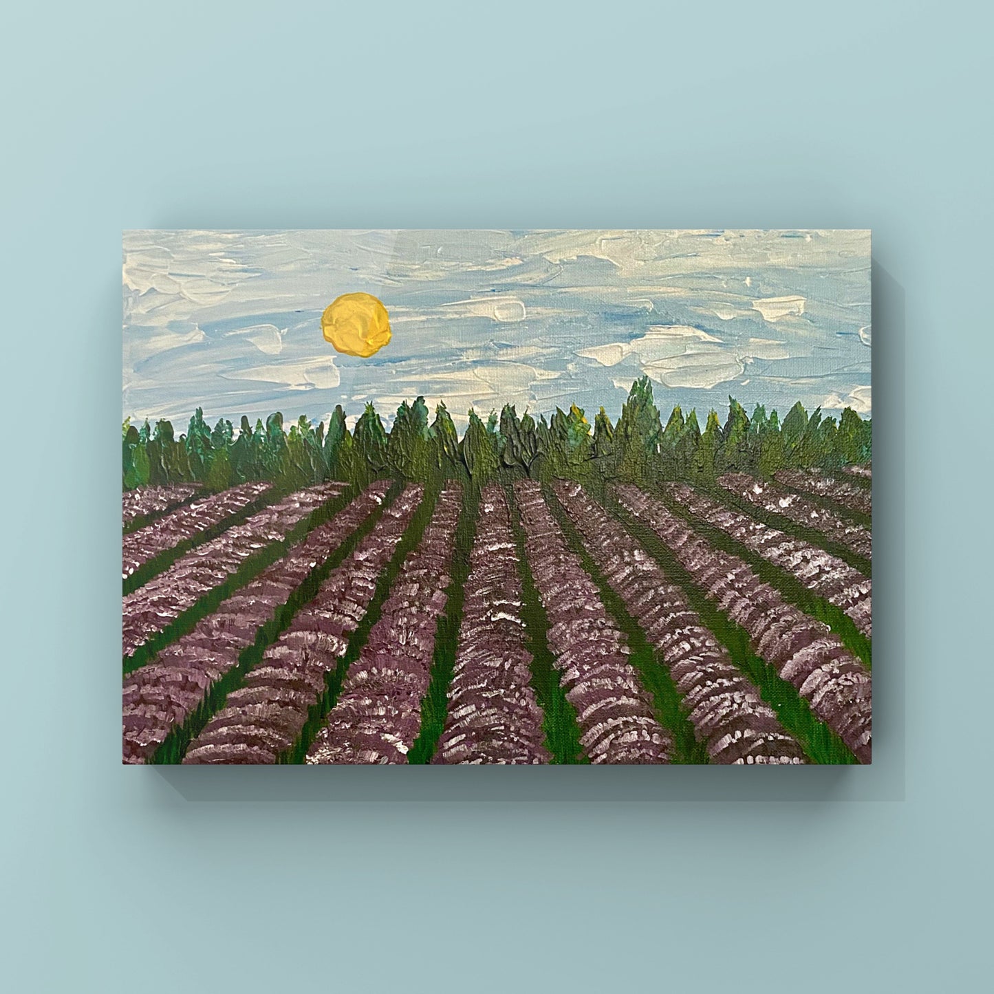 Lavender Field - Canvas Prints