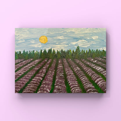 Lavender Field - Canvas Prints